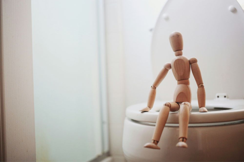 figurine sitting on the toilet